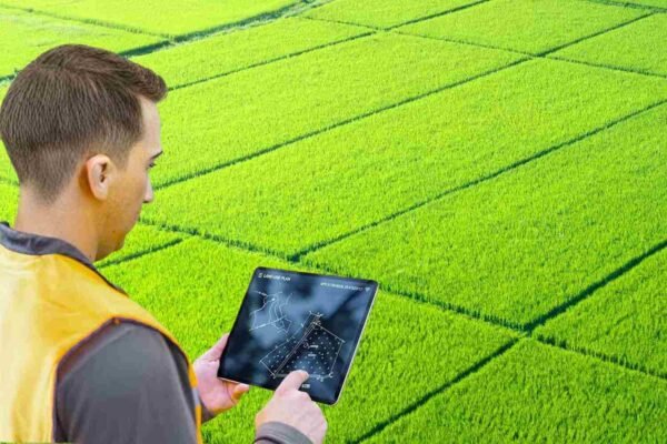 How Digital Land Records Increase Buyer Confidence